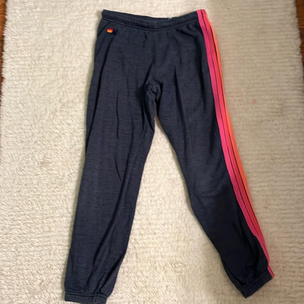 Aviator Nation sweat pants